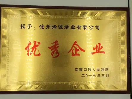 Excellent Company Award